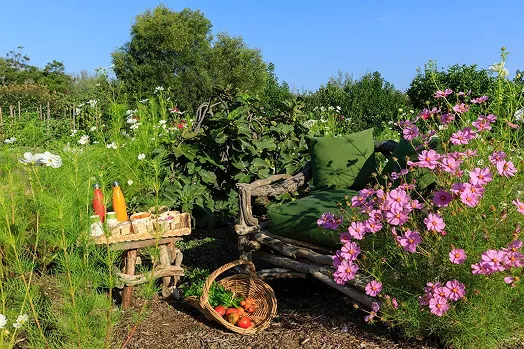 Le potager du Grand Hôtel de Cala Rossa, en Corse du Sud